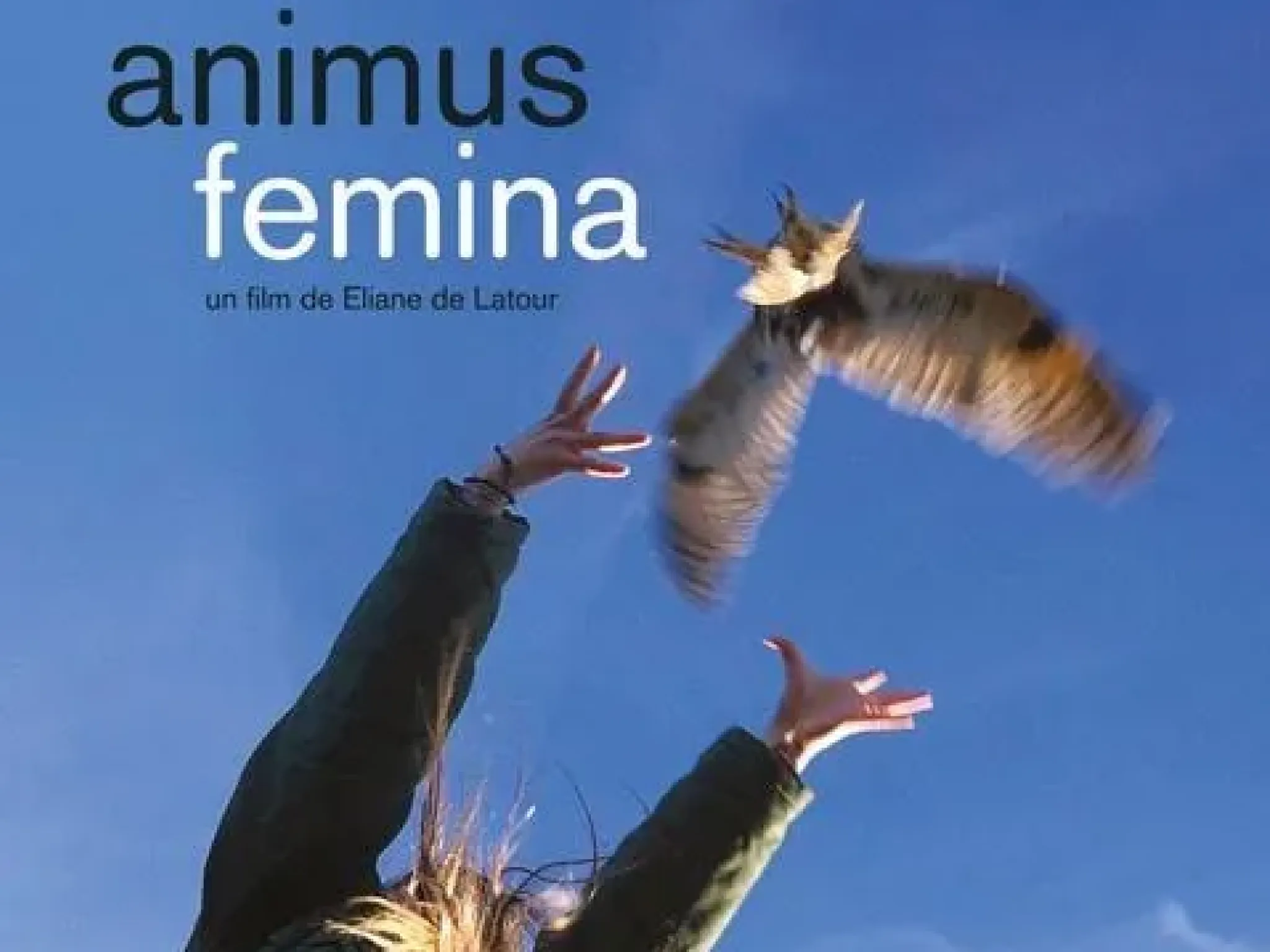 Affiche Animus Femina